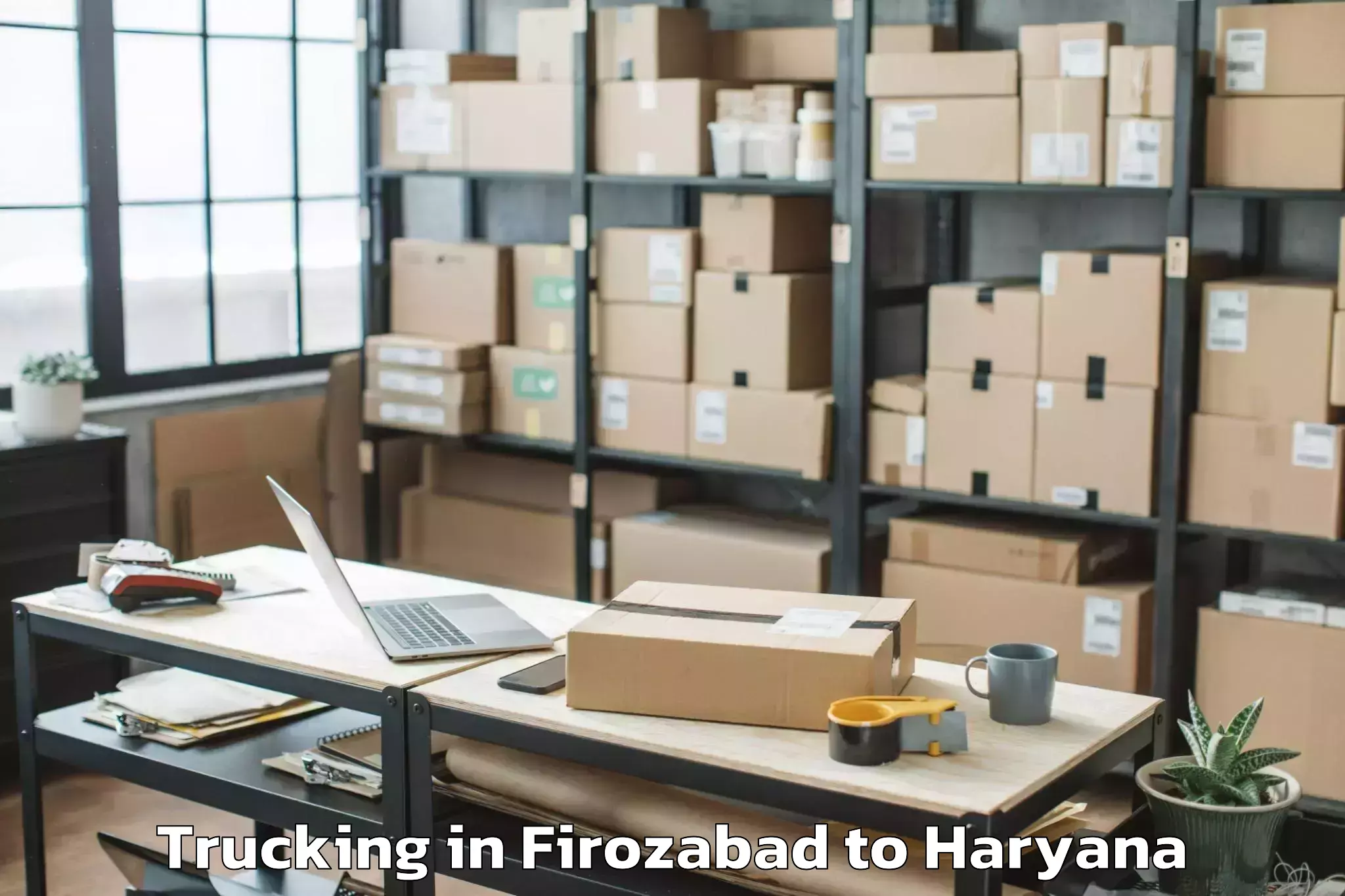 Book Firozabad to Narnaul Trucking